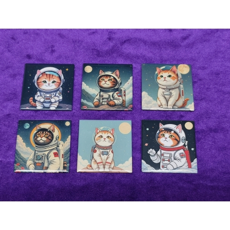 Imanes gatos astronautas